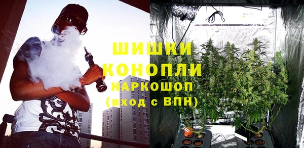 гашик Горняк