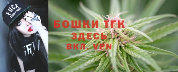 гашик Горняк