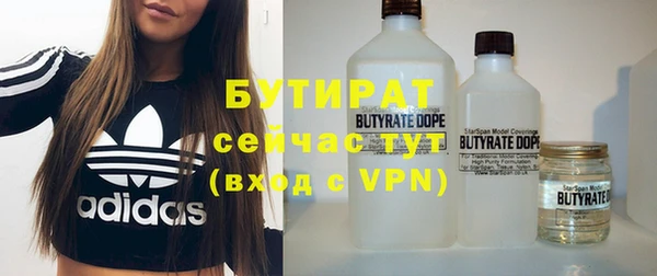 гашик Горняк