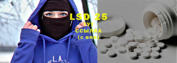гашик Горняк