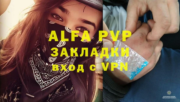гашик Горняк