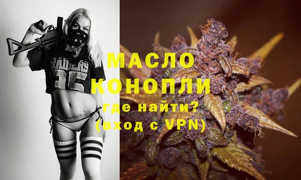 гашик Горняк