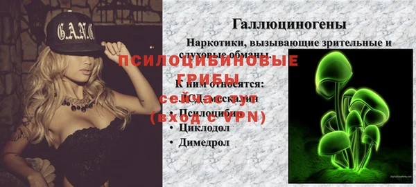гашик Горняк