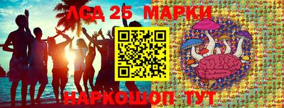 Альфа ПВП Кандалакша
