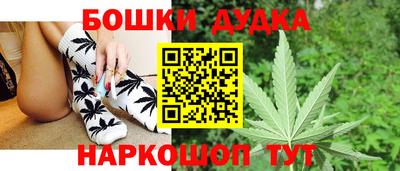 Альфа ПВП Кандалакша