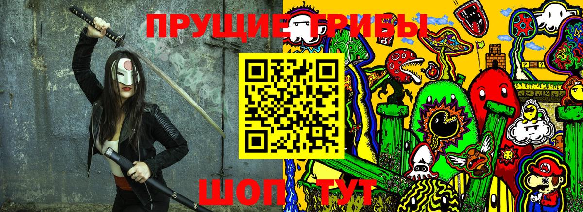 Галлюциногенные грибы Psilocybe Дедовск