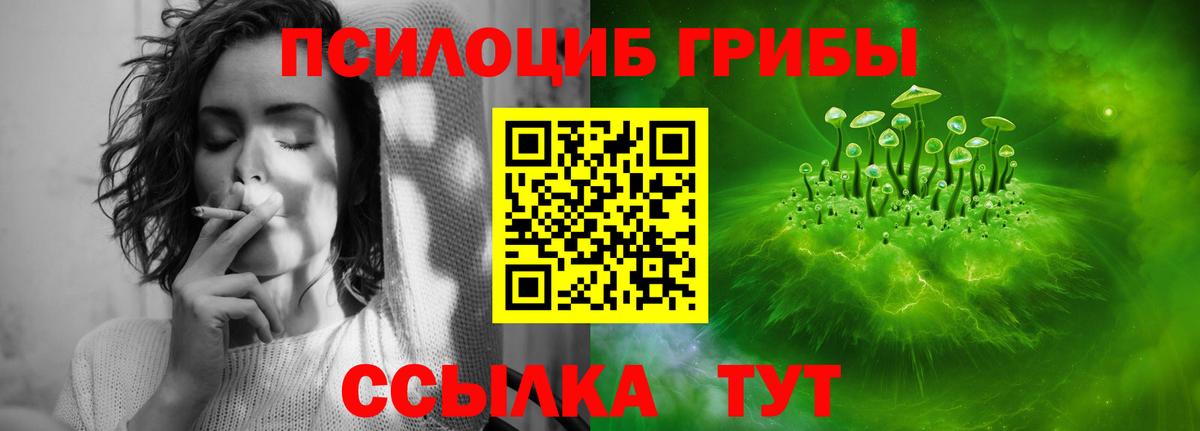 Дедовск  Галлюциногенные грибы MAGIC MUSHROOMS  Вход с VPN 