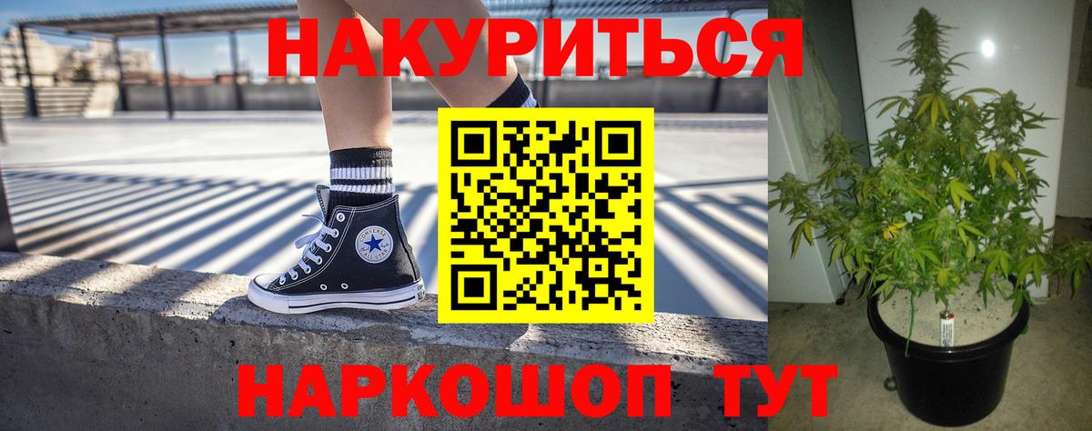 Каннабис гибрид Дедовск